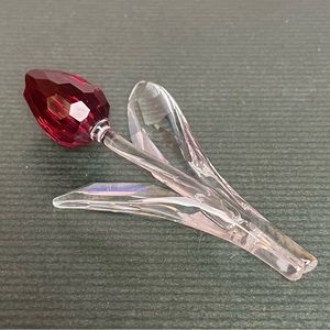 NIB SCS Red Tulip - Member Renewal Piece